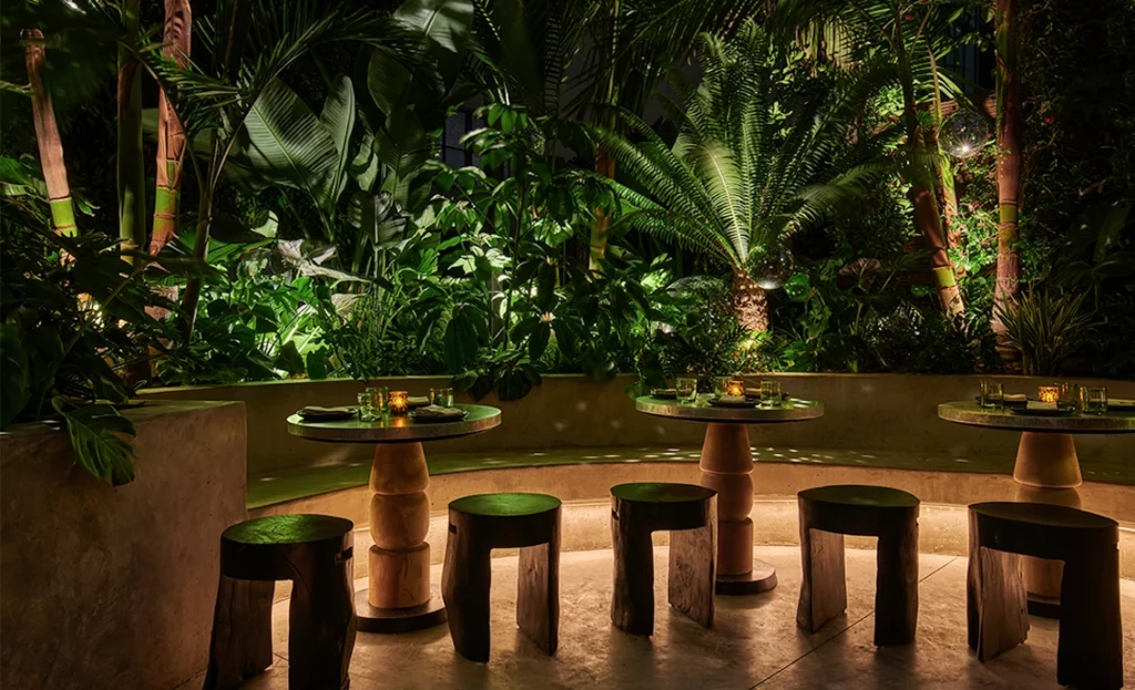 41-h-laxte_kateen-dining-tabletop-nightcopy