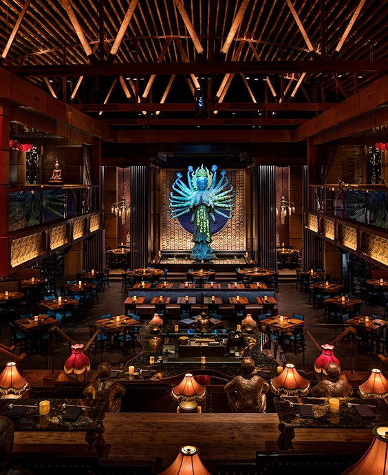 51-tao_overall_centeredcopy